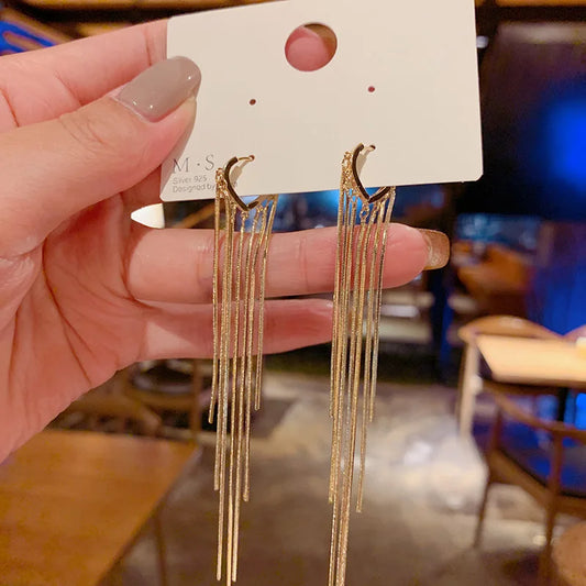 Korean Chain Tassel Earrings