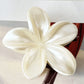 Shiny Egg Flower Hair Claws Set